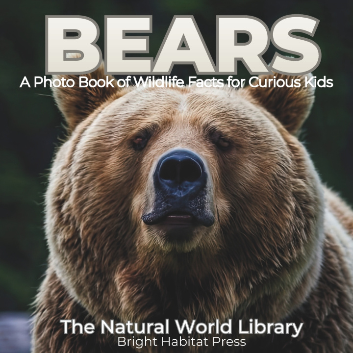 Kniha Bears Bright Habitat Press