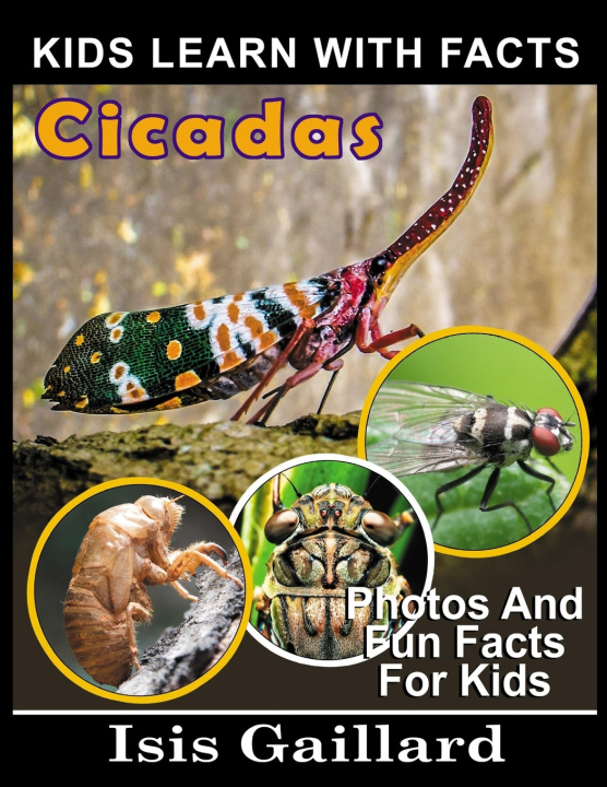 Kniha Cicadas Isis Gaillard
