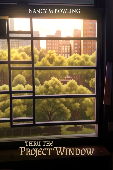 Kniha Thru The Project Window Nancy M Bowling