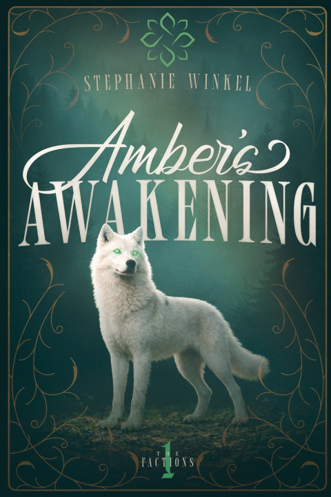 Kniha Amber's Awakening Stephanie Winkel