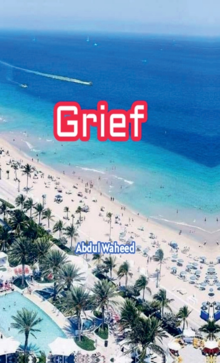 Kniha Grief Abdul Waheed