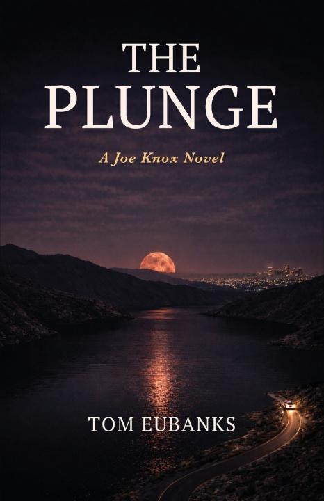 Kniha The Plunge Tom Eubanks
