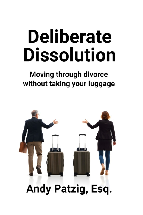 Kniha Deliberate Dissolution for Parents Andy Patzig