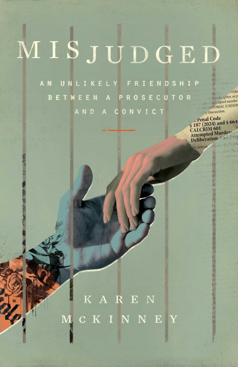 Kniha Misjudged Karen McKinney