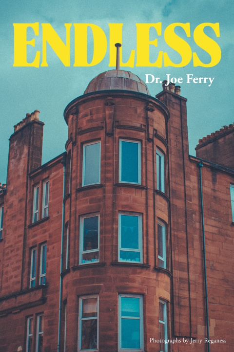 Kniha Endless Dr. Joe Ferry