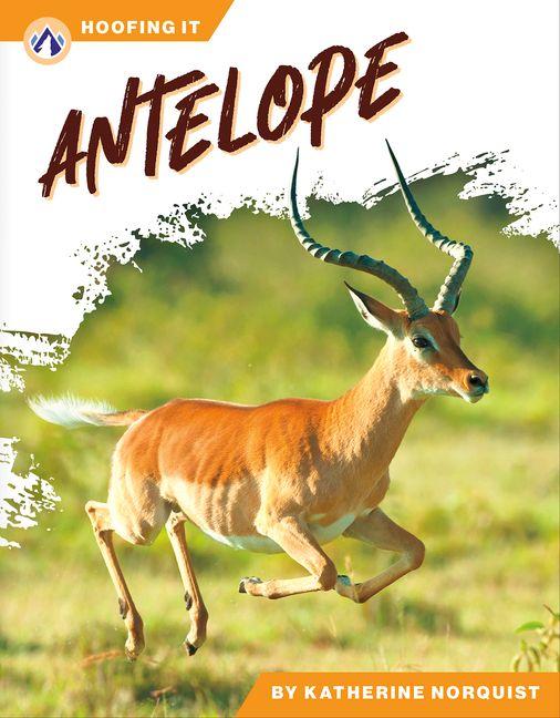 Buch Antelope Katherine Norquist