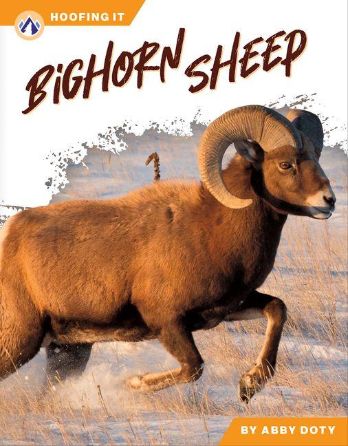 Buch Bighorn Sheep Abby Doty