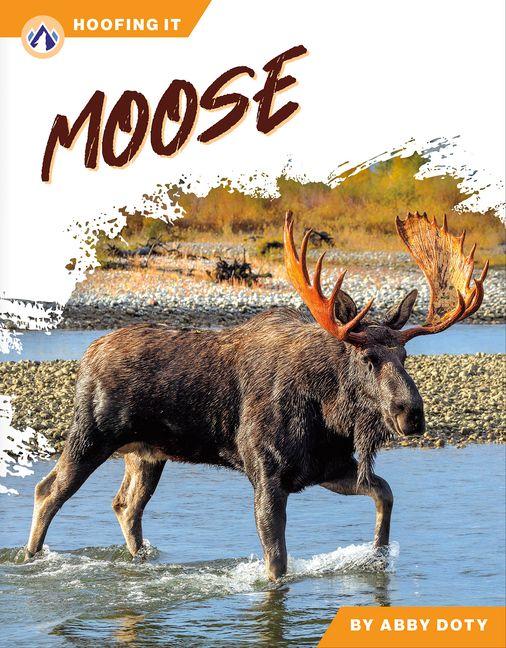 Kniha Moose Abby Doty