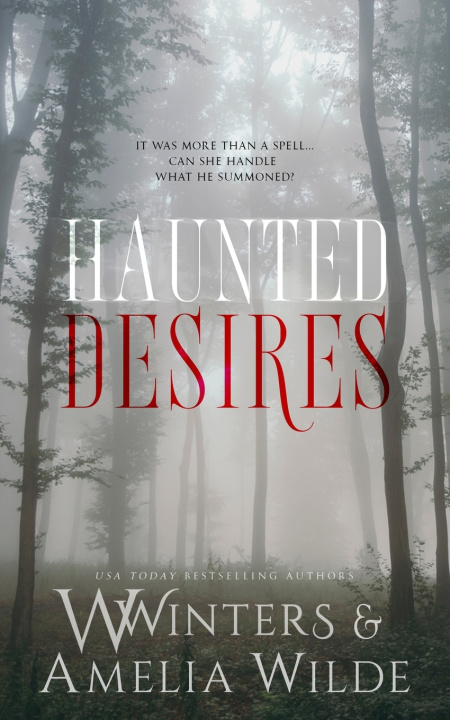 Kniha Haunted Desires Amelia Wilde