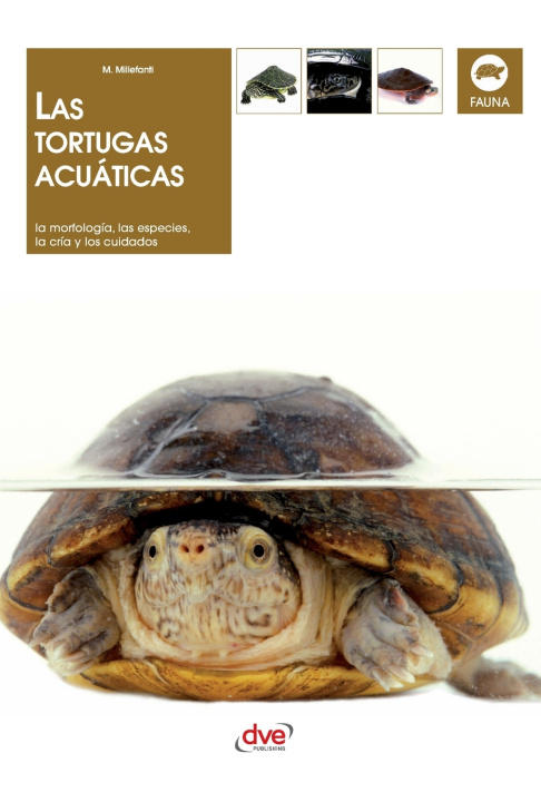 Buch Las tortugas acuáticas Massimo Millefanti