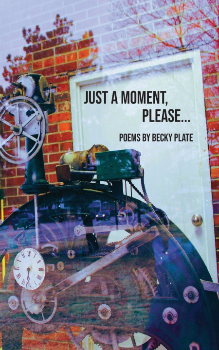 Kniha Just A Moment Please Becky Plate