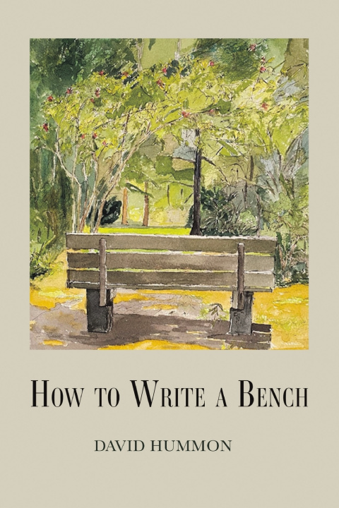 Kniha How to Write a Bench David Hummon