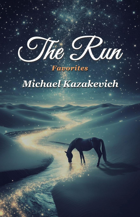 Kniha The Run 