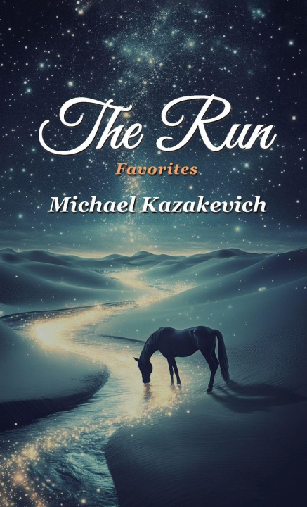 Kniha The Run 