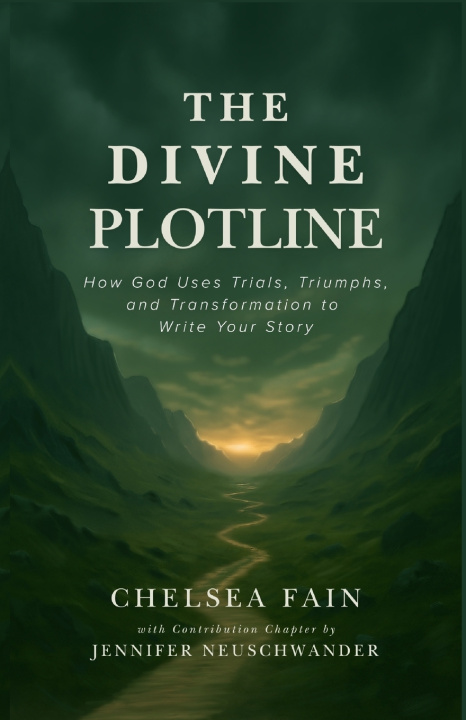 Kniha The Divine Plotline Chelsea Fain