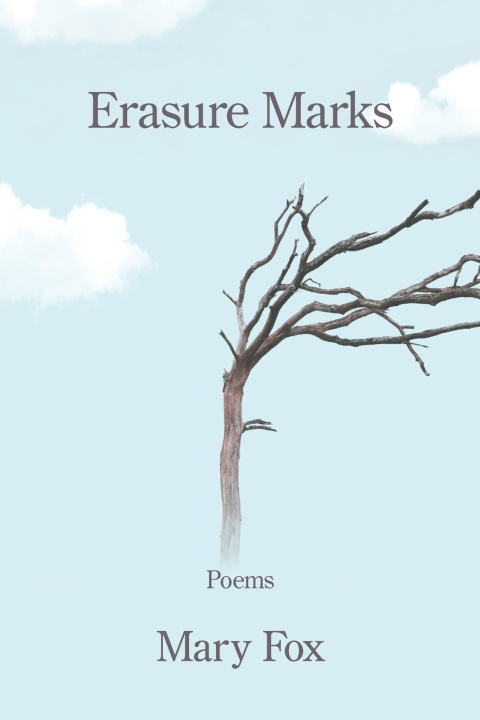 Kniha Erasure Marks Mary Fox