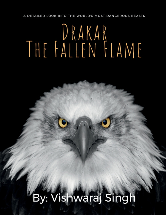 Kniha Drakar The Fallen Flame Vishwaraj Singh