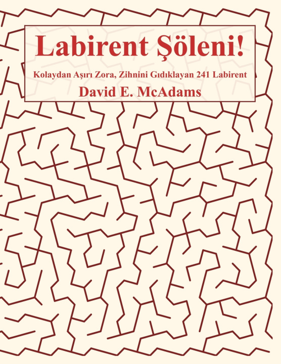 Kniha Labirent Şöleni! David E. McAdams