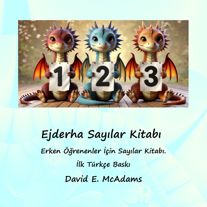 Buch Ejderha Sayılar Kitabı David E. McAdams