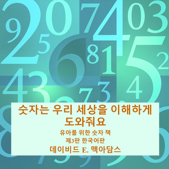 Livro 숫자는 우리 세상을 이해하게 도와줘요 David E. McAdams