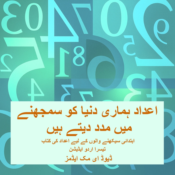 Kniha اعداد ہماری دنیا کو سمجھنے میں مدد دیتے ہیں David E. McAdams