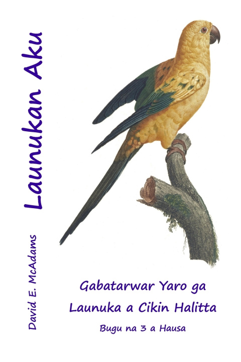 Book Launukan Aku David E. McAdams