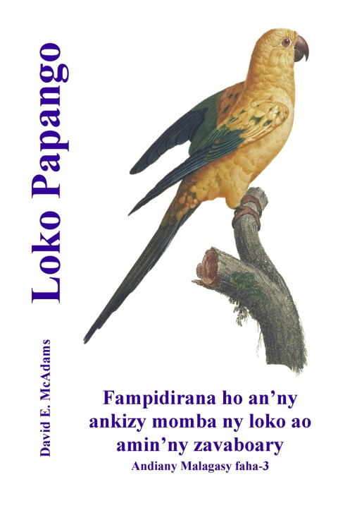 Kniha Loko Papango David E. McAdams