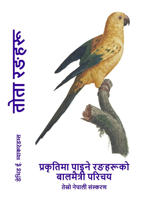 Buch तोता रङहरू David E. McAdams
