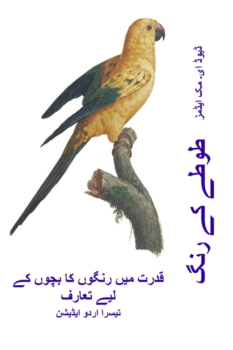 Kniha طوطے کے رنگ David E. McAdams