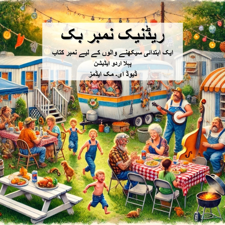 Libro ریڈنیک نمبر بک David E. McAdams