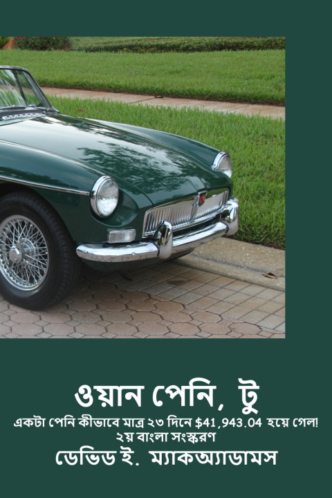 Knjiga ওয়ান পেনি, টু David E. McAdams