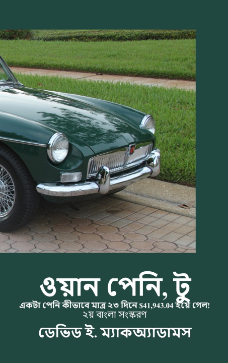 Kniha ওয়ান পেনি, টু David E. McAdams
