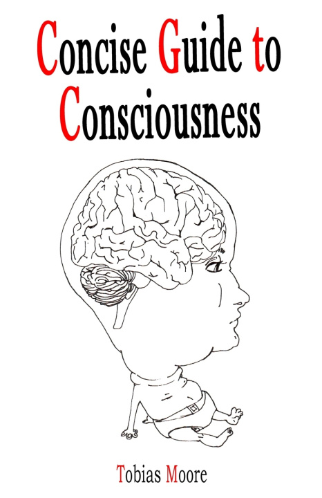Kniha Concise Guide to Consciousness Tobias Moore