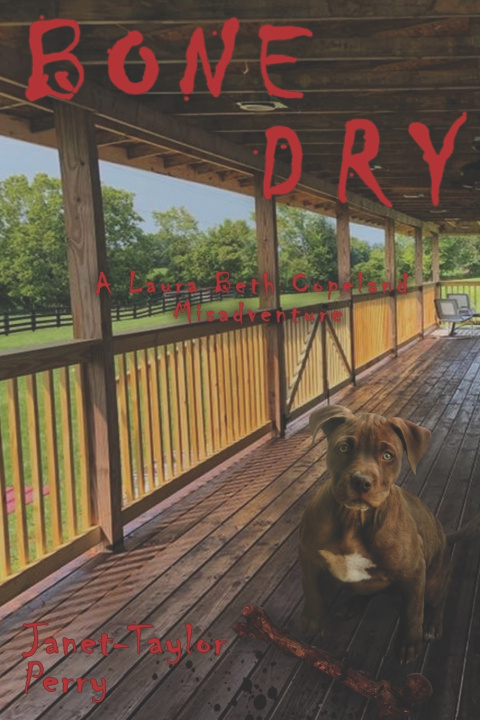 Knjiga Bone Dry Janet Taylor-Perry