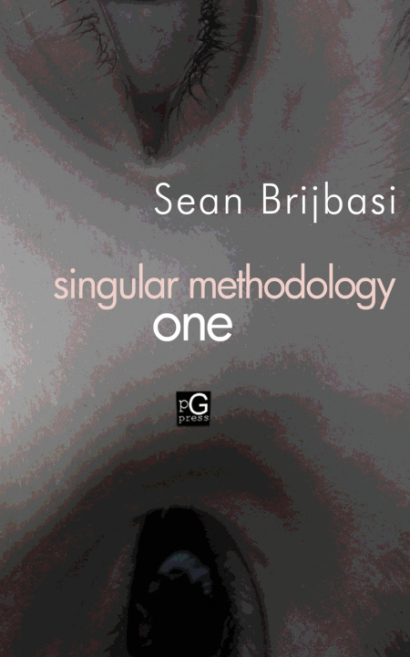 Kniha singular methodology one Sean A Brijbasi