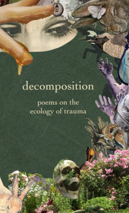 Knjiga decomposition Maggie Bowyer