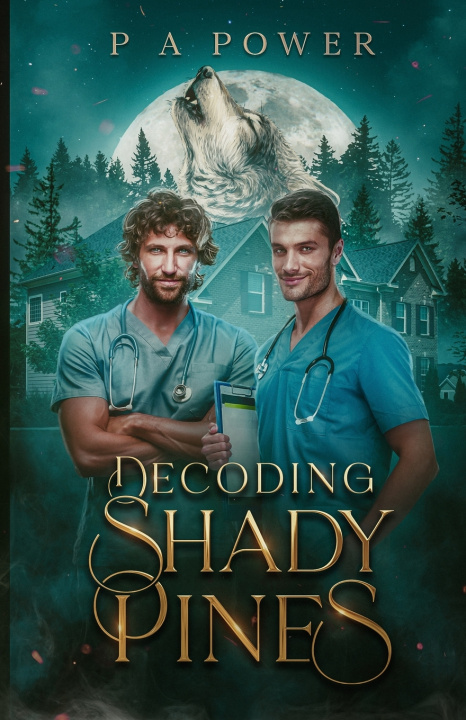 Kniha Decoding Shady Pines P A Power