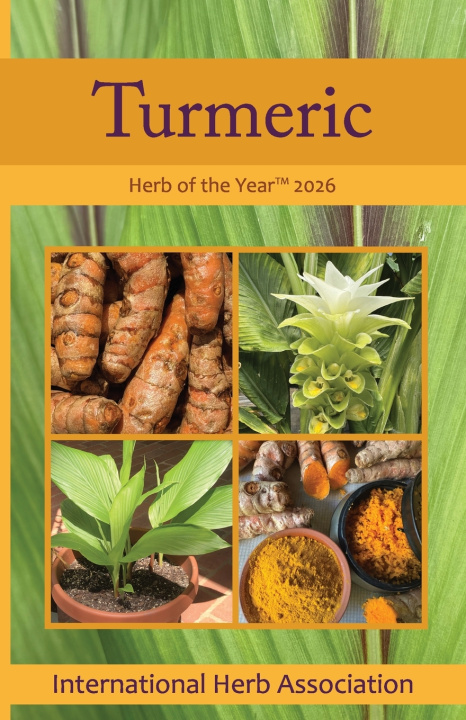 Kniha Turmeric Kathleen Connole