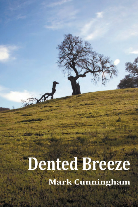 Knjiga Dented Breeze Mark Cunningham