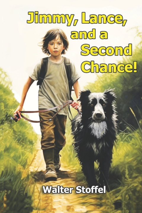 Kniha Jimmy, Lance, and a Second Chance ! Walter Stoffel