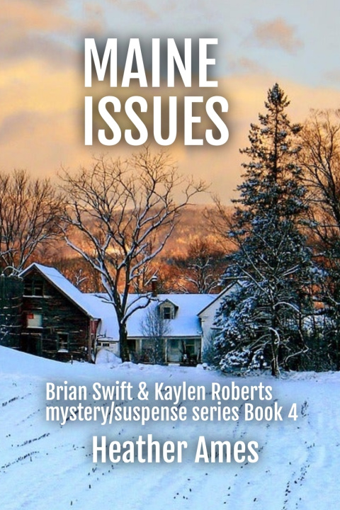 Kniha MAINE ISSUES Heather Ames