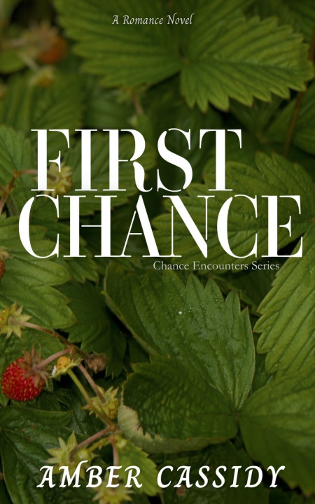 Book First Chance Amber Cassidy