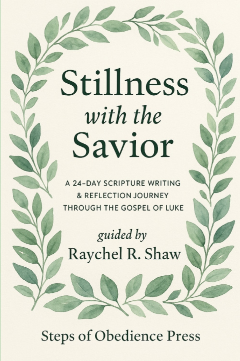 Kniha Stillness With the Savior Raychel Shaw