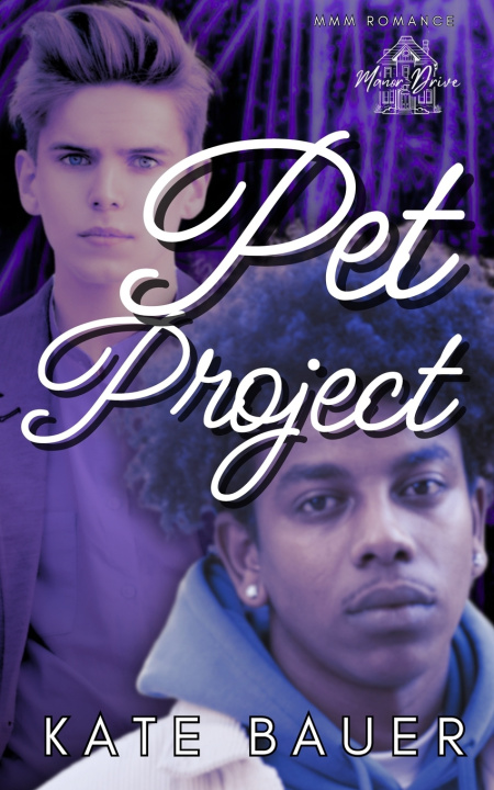 Kniha Pet Project K.A. Bauer