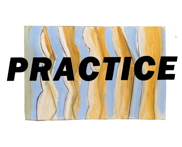 Kniha Practice Gary Llama