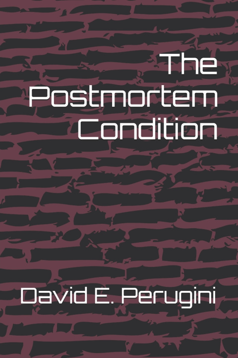 Kniha The Postmortem Condition David E. Perugini