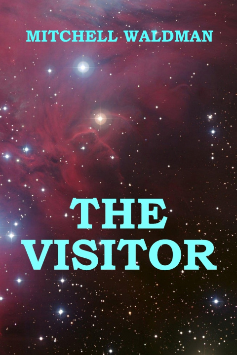 Kniha The Visitor Mitchell Waldman