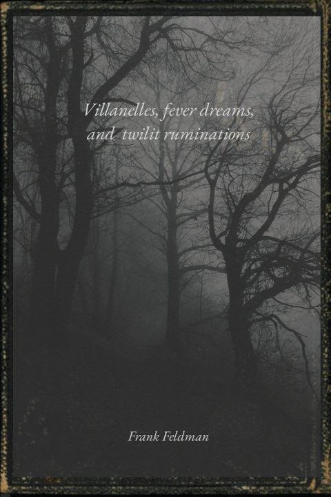 Buch Villanelles, fever dreams, and twilit ruminations Frank Feldman