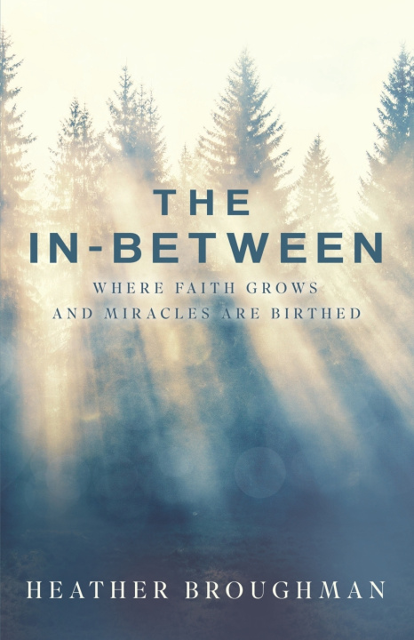 Kniha The In-Between Heather Broughman