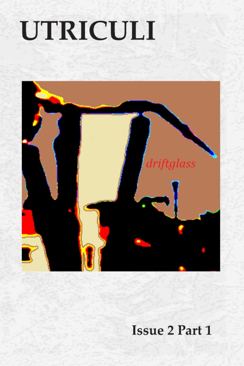 Book Utriculi Issue 2 harry k stammer